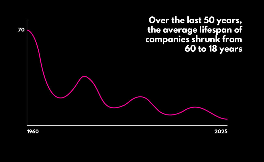 customer segmentation